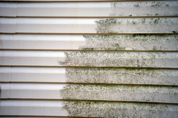 Best Steel Siding Installation  in Norway, MI